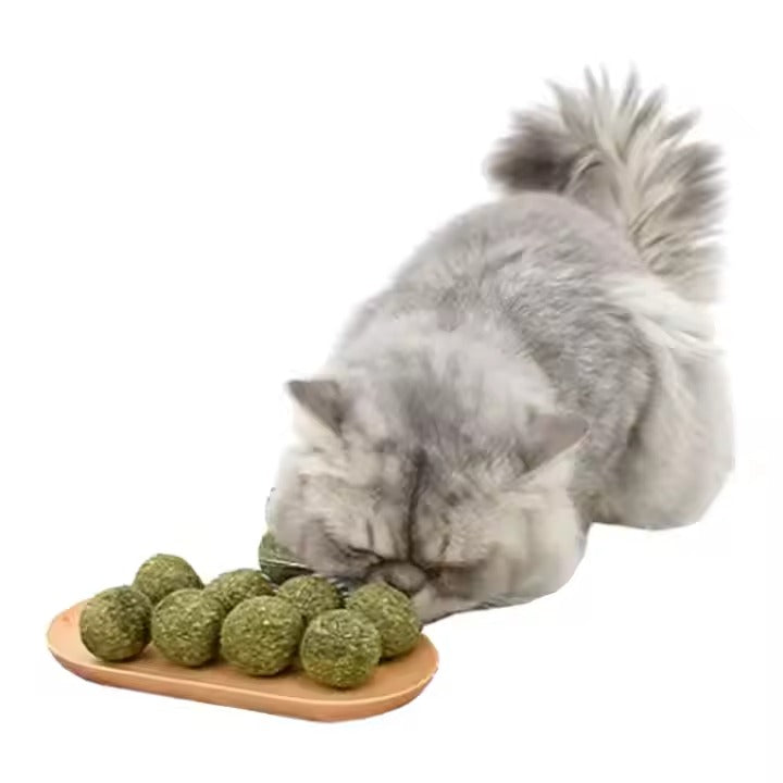 Catnip Ball Wholesale Cat Toy Pet Molar Teeth Cleaner Cat Grass Ball