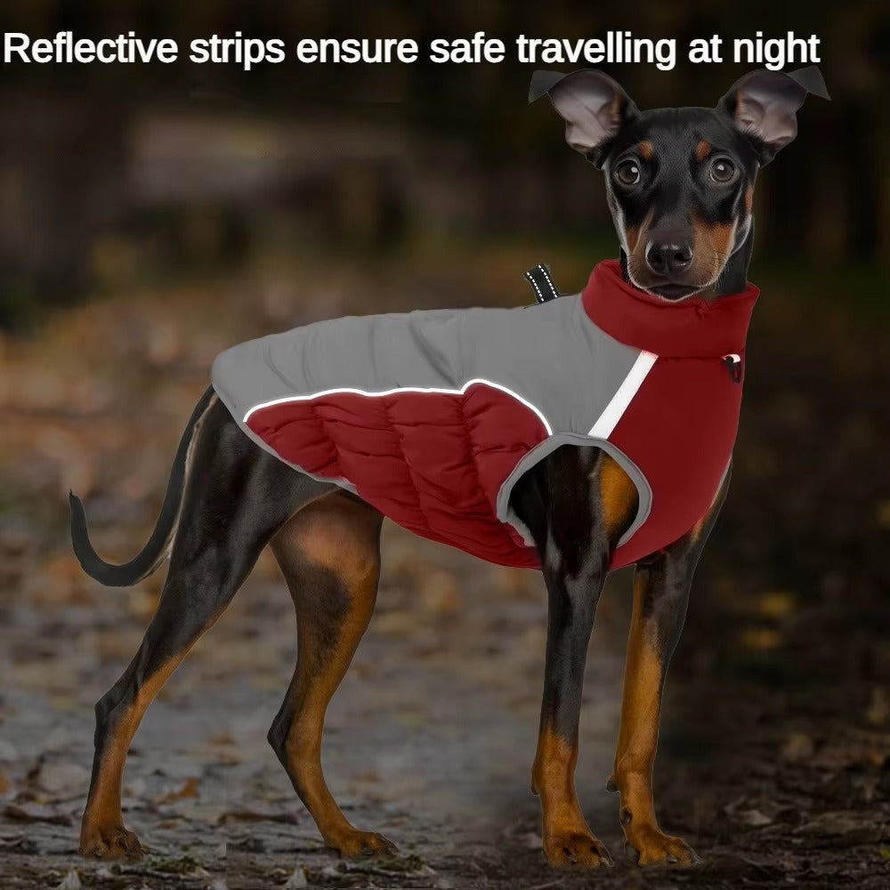 Luxury Cotton-Padded Winter Dog Clothes Cross-Border Pet Jacket for Medium to Large Dogs Outdoor Warm-Keeping Shell for Pups