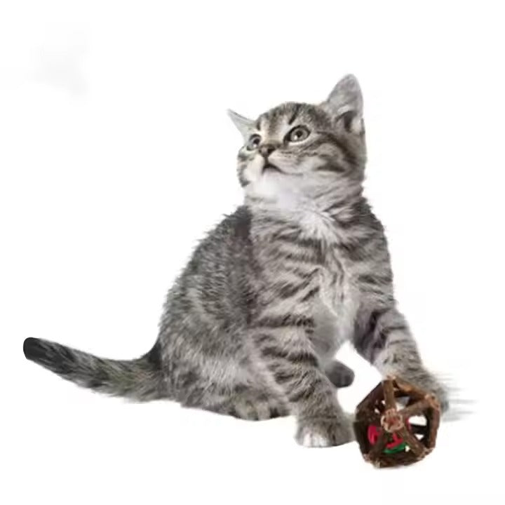 Actinidia Polygama Bell Toy Ball Insect Gall Fruit Cat Snack Molar Teeth Cleaning
