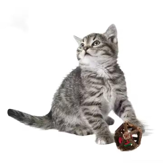 Actinidia Polygama Bell Toy Ball Insect Gall Fruit Cat Snack Molar Teeth Cleaning