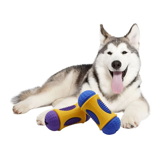 Pet Molar Toy Dog Chewing Interactive Fun Rubber Dog Chew Gum Resistant to Bite and Leakage