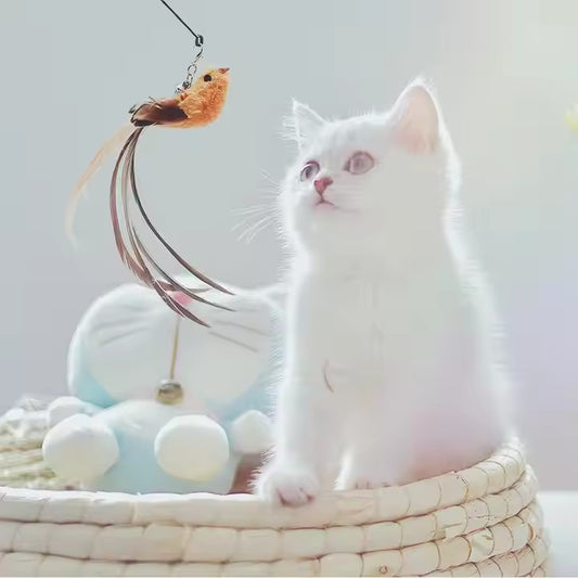 Bird Shape Bunny Shape Steel Wire Cat Teaser Toy with Wooden Rod