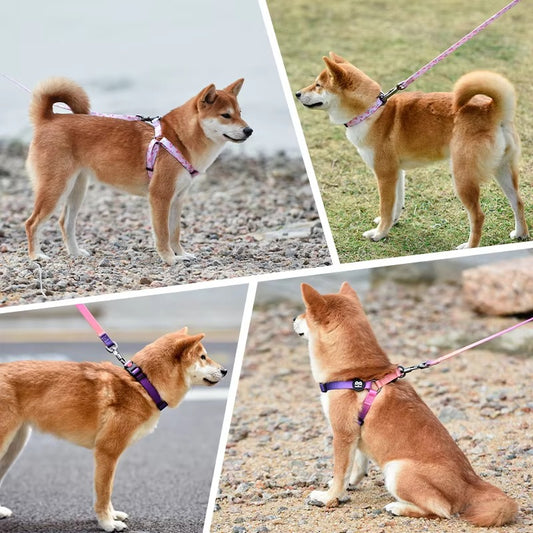 Hot Selling Wholesale Velvet Harness Vest Luxury Dog Leash and Harness Pet Dog Collar
