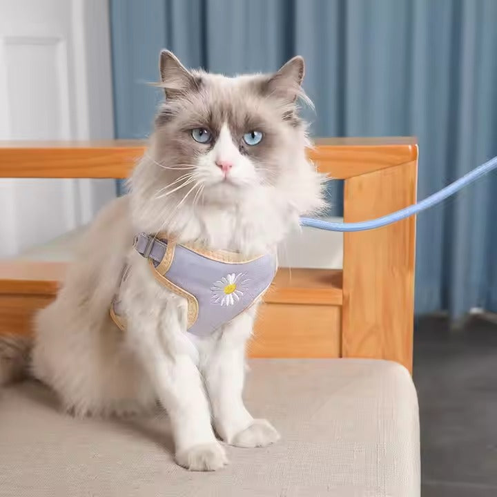 Mesh Cat Chest Harness Vest-style Clothes Traction Rope