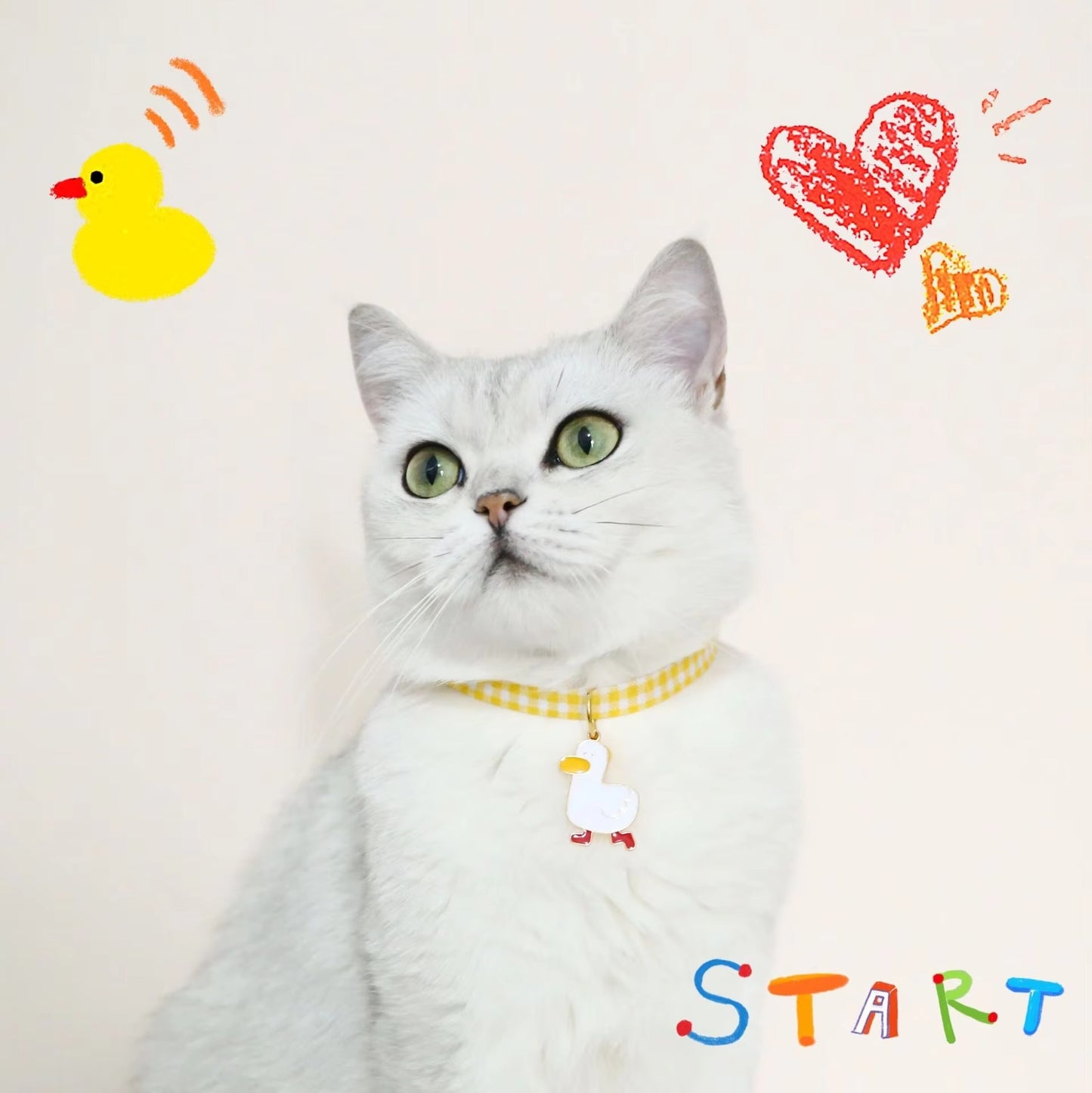 Pet Collar Candy Color Avocado Pendant Cat & Dog Safety Necklace