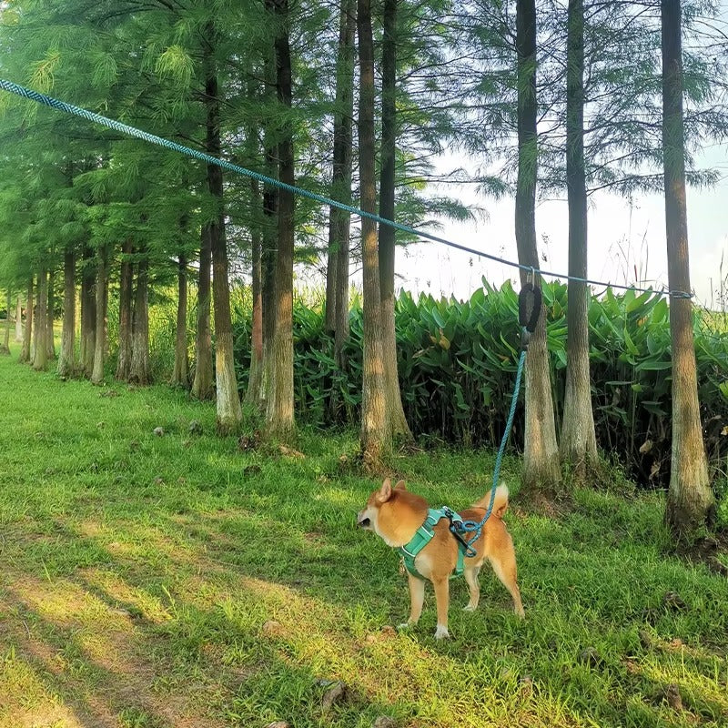 Multi-Color Reflective Anti-Wind Outdoor Dog Leash Solid Pattern Pet Rope with Hand-Holding Feature Pet Supplies